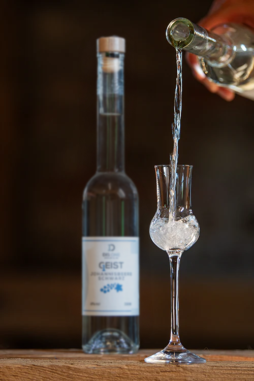 Schwarzer Johannisbeer Geist