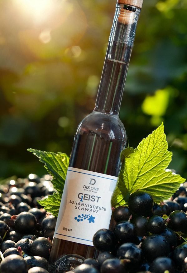 Schwarzer Johannisbeer Geist